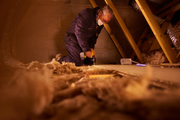 Best Local Insulation Services  in USA